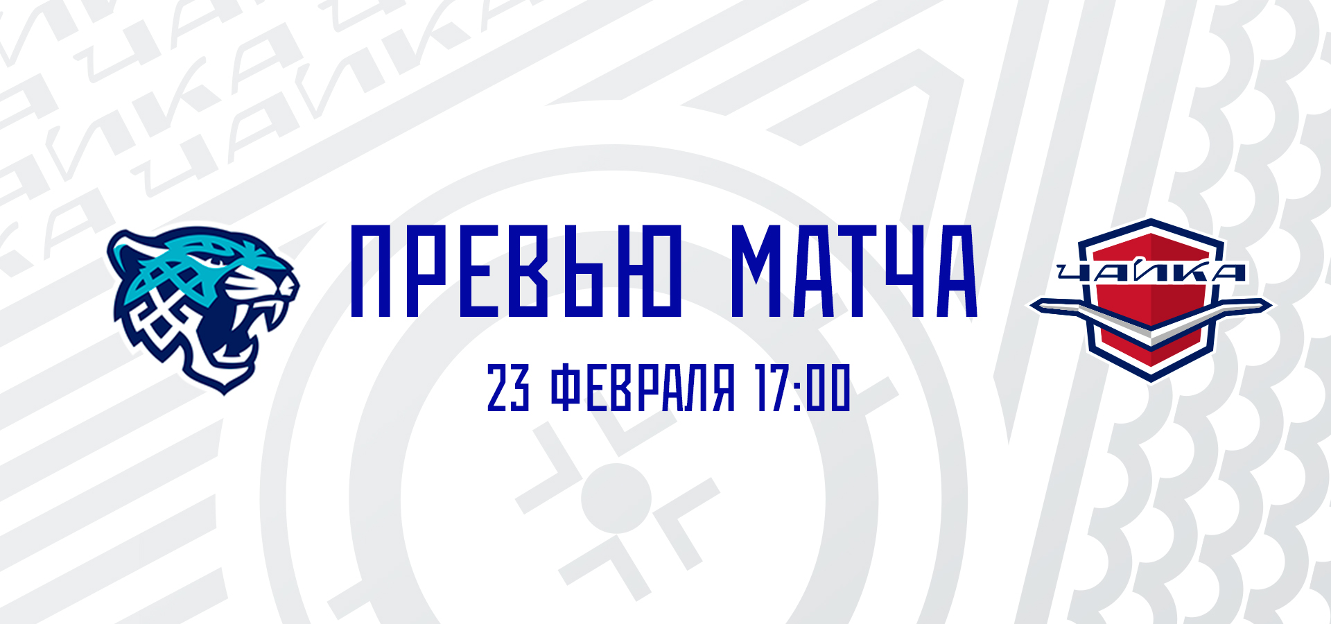 «Чайка» сыграет против «Снежных Барсов»